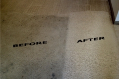 Carpet3