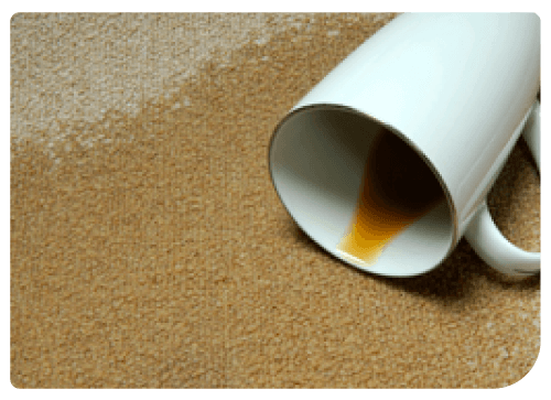 Spot & Stain Removal