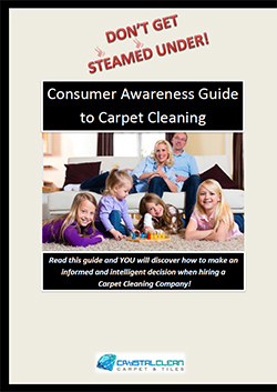 Consumer Awareness Guide to Carpet Cleaning